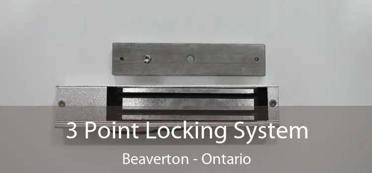 3 Point Locking System Beaverton - Ontario