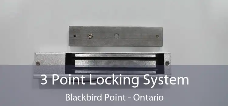 3 Point Locking System Blackbird Point - Ontario