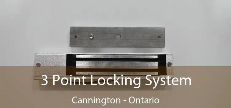 3 Point Locking System Cannington - Ontario