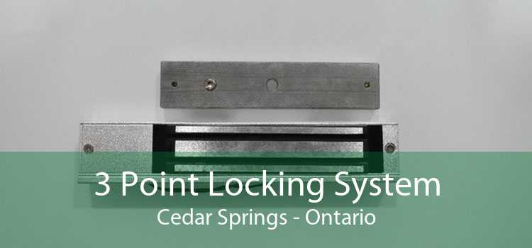 3 Point Locking System Cedar Springs - Ontario