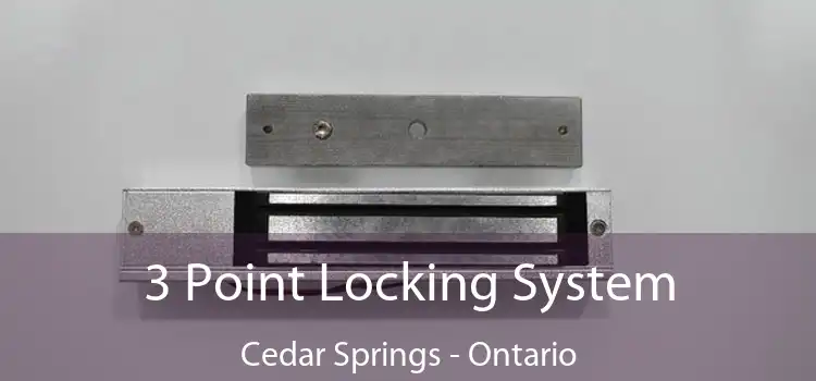 3 Point Locking System Cedar Springs - Ontario