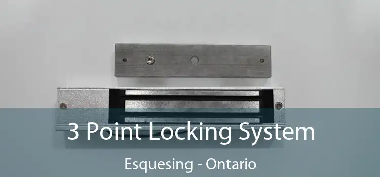 3 Point Locking System Esquesing - Ontario