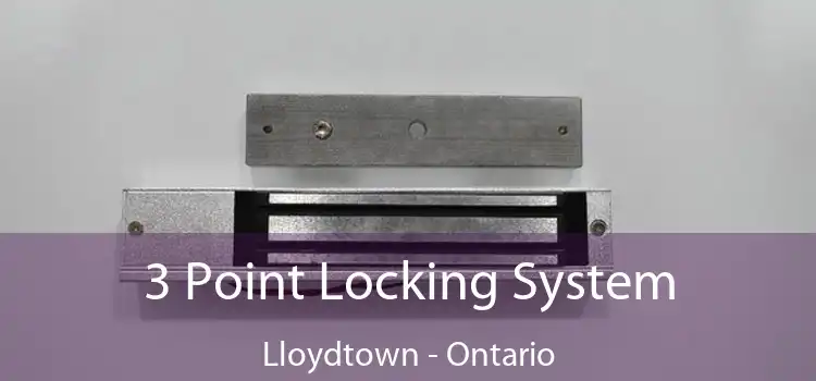 3 Point Locking System Lloydtown - Ontario