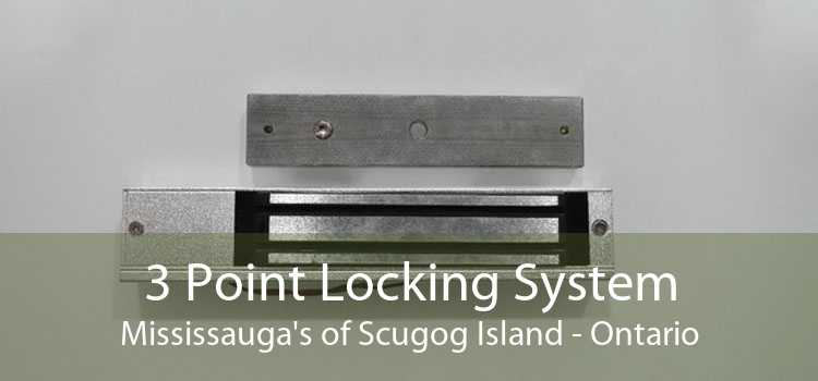 3 Point Locking System Mississauga's of Scugog Island - Ontario