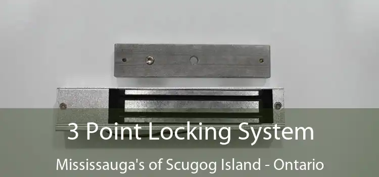 3 Point Locking System Mississauga's of Scugog Island - Ontario