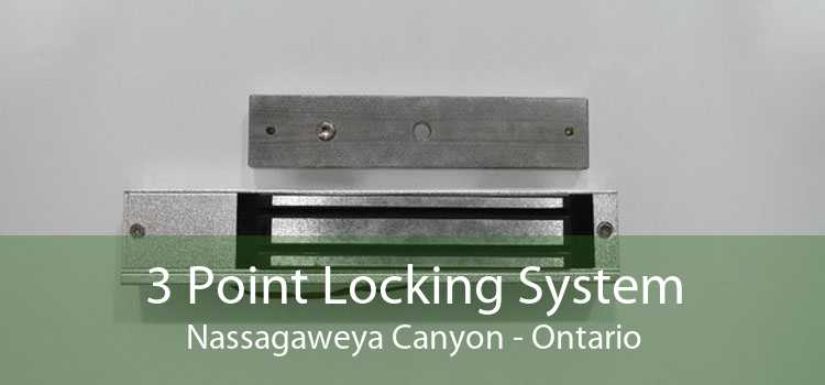 3 Point Locking System Nassagaweya Canyon - Ontario