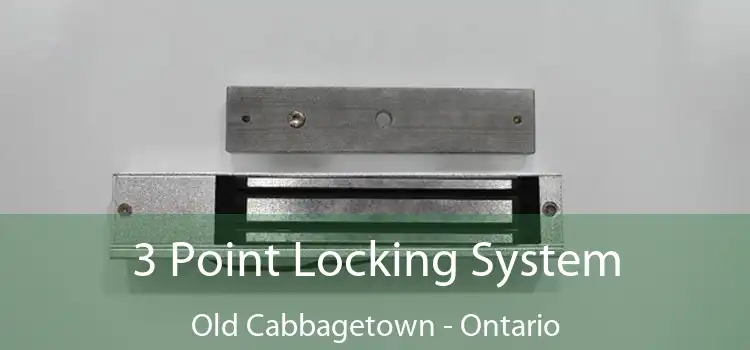 3 Point Locking System Old Cabbagetown - Ontario