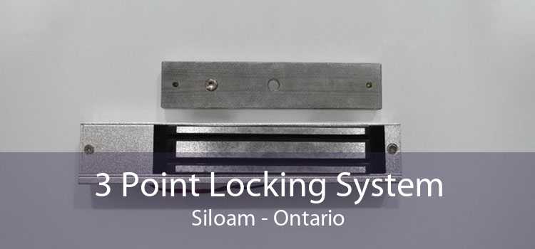 3 Point Locking System Siloam - Ontario