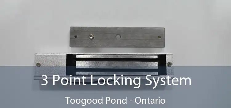 3 Point Locking System Toogood Pond - Ontario