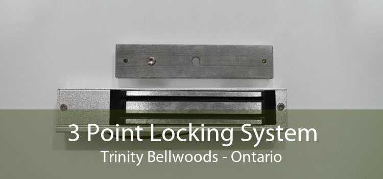 3 Point Locking System Trinity Bellwoods - Ontario