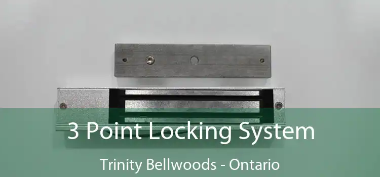 3 Point Locking System Trinity Bellwoods - Ontario