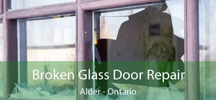 Broken Glass Door Repair Alder - Ontario
