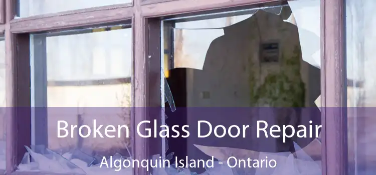 Broken Glass Door Repair Algonquin Island - Ontario