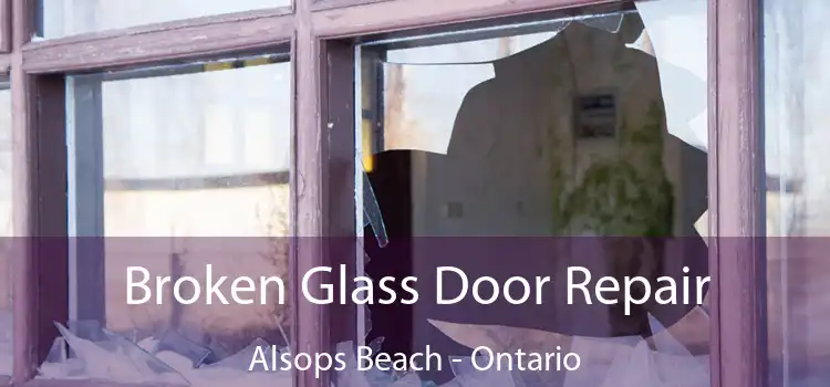 Broken Glass Door Repair Alsops Beach - Ontario