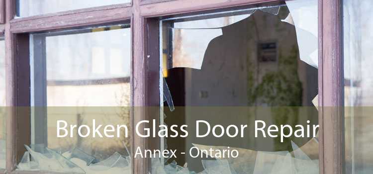 Broken Glass Door Repair Annex - Ontario