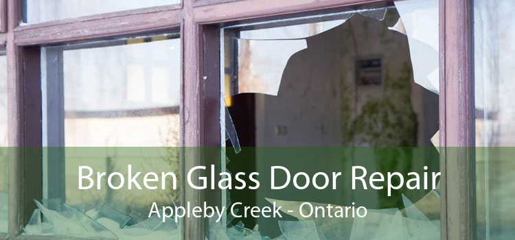 Broken Glass Door Repair Appleby Creek - Ontario