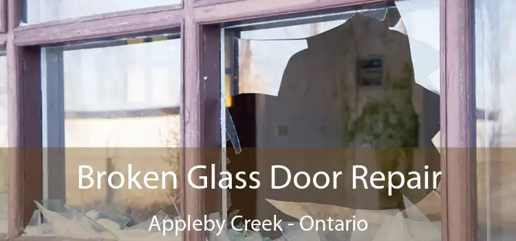 Broken Glass Door Repair Appleby Creek - Ontario
