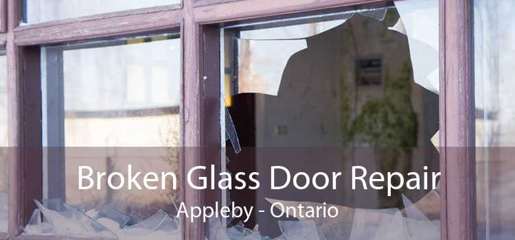 Broken Glass Door Repair Appleby - Ontario