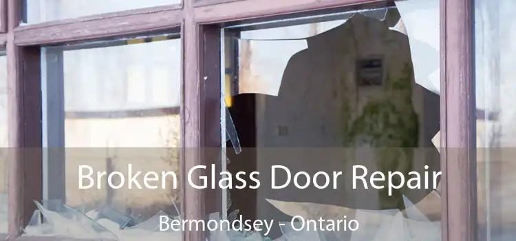 Broken Glass Door Repair Bermondsey - Ontario