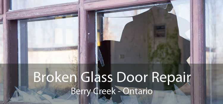 Broken Glass Door Repair Berry Creek - Ontario