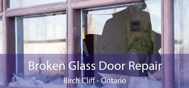 Broken Glass Door Repair Birch Cliff - Ontario