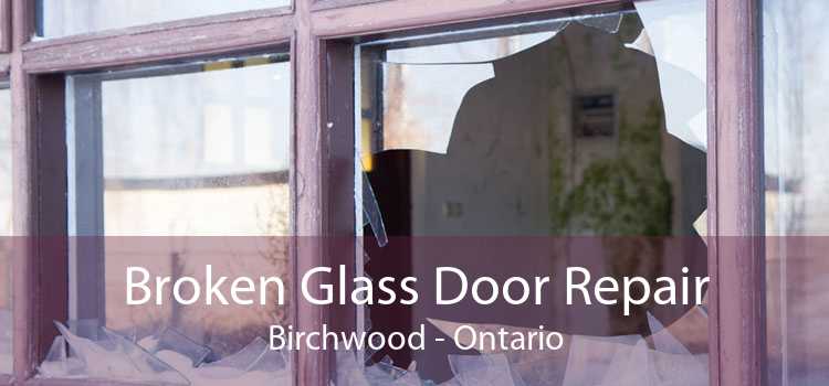 Broken Glass Door Repair Birchwood - Ontario