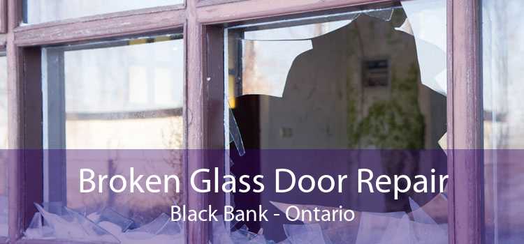 Broken Glass Door Repair Black Bank - Ontario