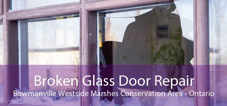 Broken Glass Door Repair Bowmanville Westside Marshes Conservation Area - Ontario