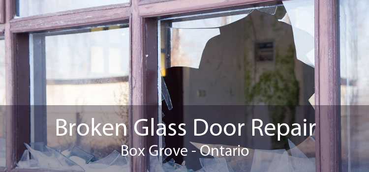Broken Glass Door Repair Box Grove - Ontario