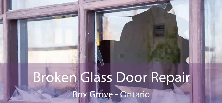 Broken Glass Door Repair Box Grove - Ontario