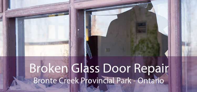 Broken Glass Door Repair Bronte Creek Provincial Park - Ontario