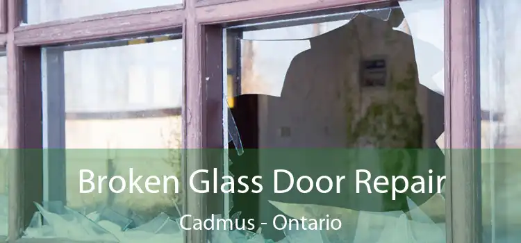 Broken Glass Door Repair Cadmus - Ontario