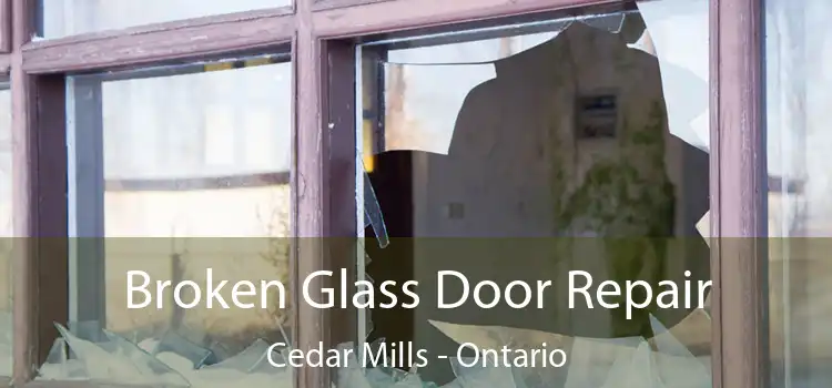 Broken Glass Door Repair Cedar Mills - Ontario