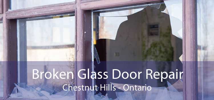 Broken Glass Door Repair Chestnut Hills - Ontario