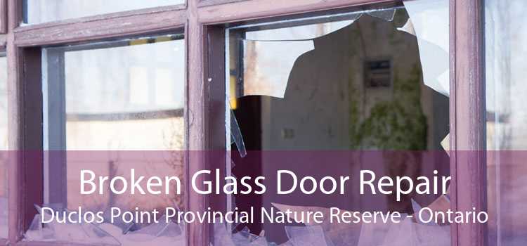 Broken Glass Door Repair Duclos Point Provincial Nature Reserve - Ontario
