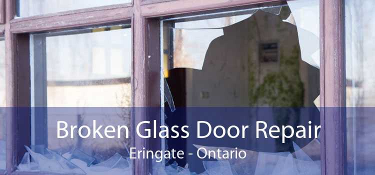 Broken Glass Door Repair Eringate - Ontario