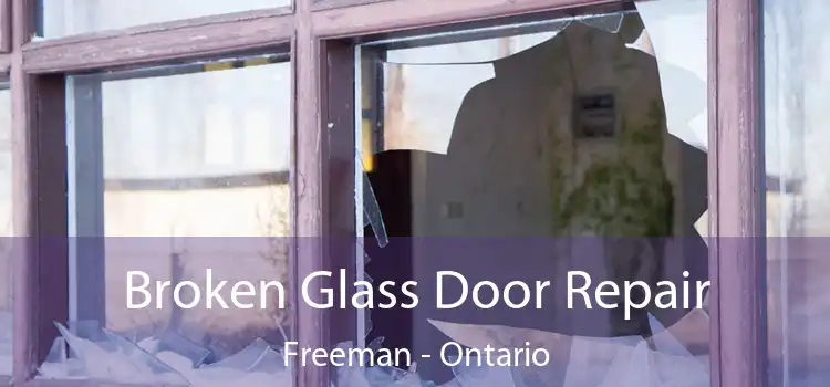 Broken Glass Door Repair Freeman - Ontario