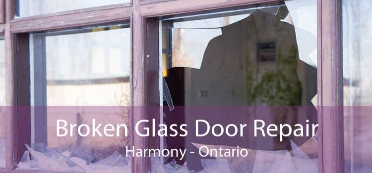 Broken Glass Door Repair Harmony - Ontario