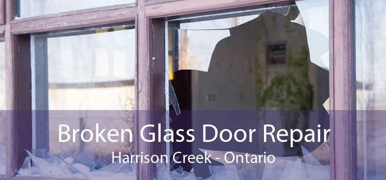 Broken Glass Door Repair Harrison Creek - Ontario