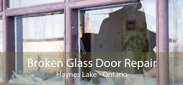 Broken Glass Door Repair Haynes Lake - Ontario
