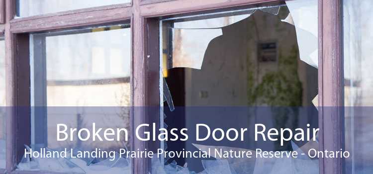 Broken Glass Door Repair Holland Landing Prairie Provincial Nature Reserve - Ontario