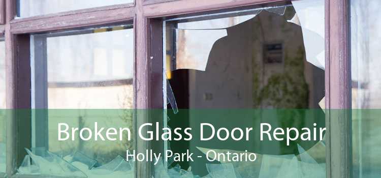 Broken Glass Door Repair Holly Park - Ontario