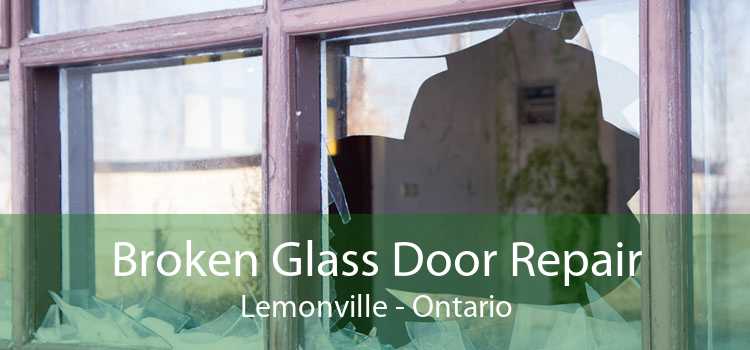 Broken Glass Door Repair Lemonville - Ontario
