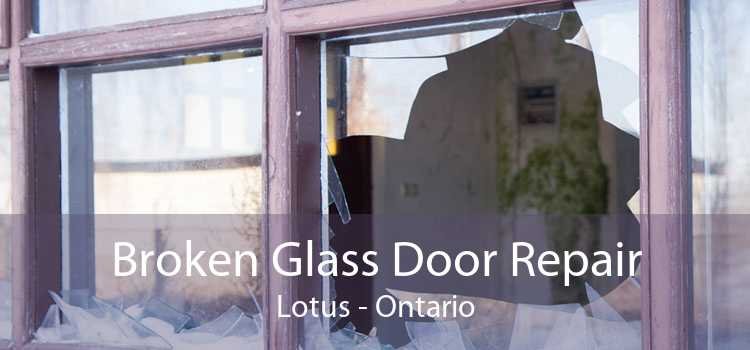 Broken Glass Door Repair Lotus - Ontario