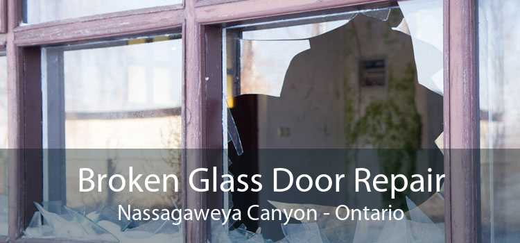Broken Glass Door Repair Nassagaweya Canyon - Ontario