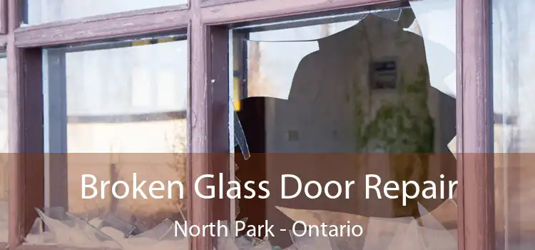 Broken Glass Door Repair North Park - Ontario