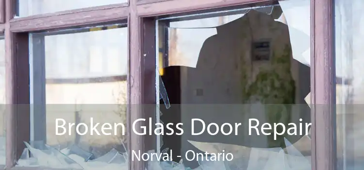 Broken Glass Door Repair Norval - Ontario