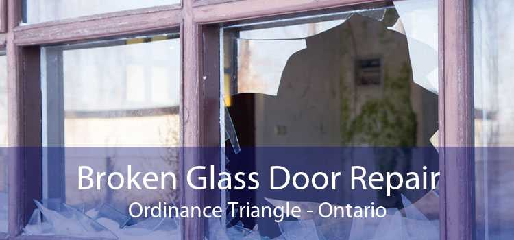 Broken Glass Door Repair Ordinance Triangle - Ontario