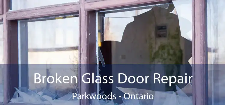 Broken Glass Door Repair Parkwoods - Ontario