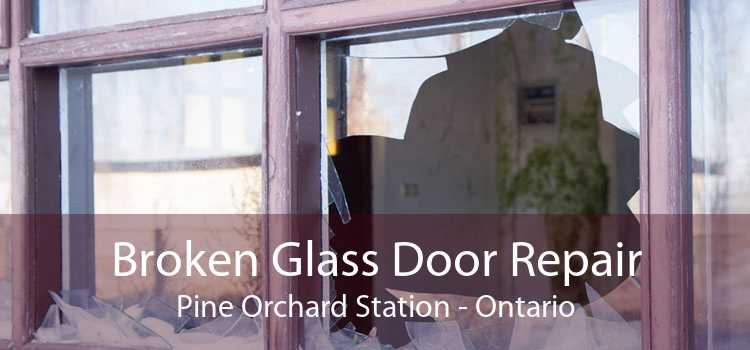 Broken Glass Door Repair Pine Orchard Station - Ontario